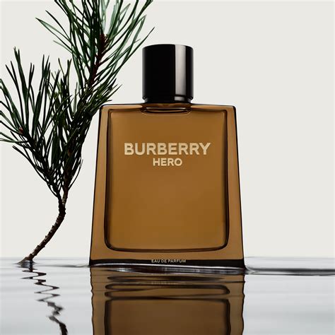 profumo da uomo burberry|burberry fragrances for men.